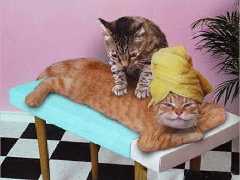 petit massage