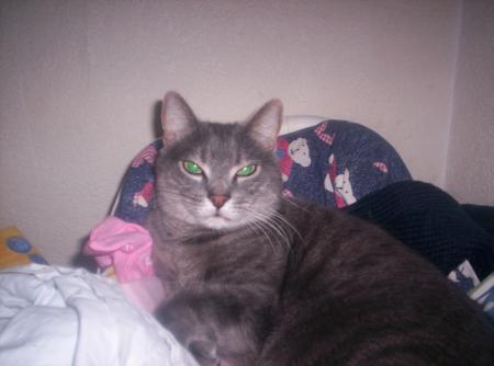 mon momo !